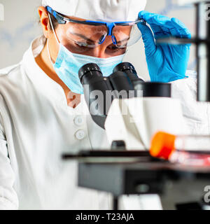 Ingeniero de biotecnología inspeccionando matraces de cultivo celular. Foto de stock