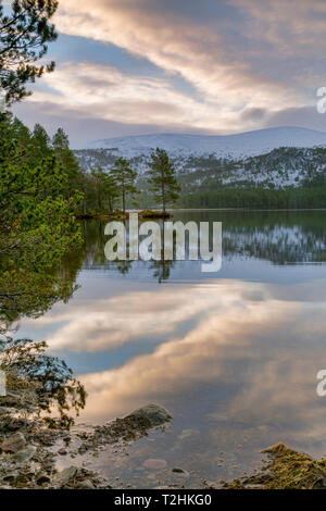 Aguas cristalinas y pinos se refleja en Loch un Eilein, los Cairngorms, Escocia, Reino Unido, Europa Foto de stock