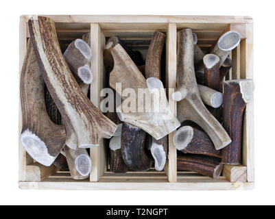 Piezas de madera aserrada de astas de ciervos y alces de bosque en una caja de madera que se vende en la calle. Aislada con parche Foto de stock