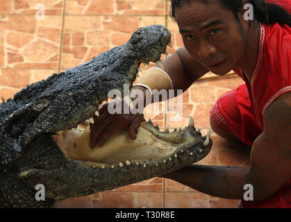 Un artista del zoológico vio poner su mano entre las mandíbulas de un  cocodrilo durante la actuación para los turistas en Bueng Boraphet en la  provincia de Nakhon Sawan, al norte de