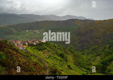 Vista aérea de las colinas de terrazas Sistelo, Serra da Peneda Gerês, Portugal, Europa Foto de stock