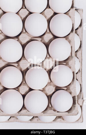 Huevos blancos de una gallina en inofensivos, embalaje de cartón sobre un fondo blanco. 2 paquetes. Foto de stock