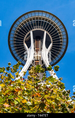 La aguja del espacio visible entre las ramas de los árboles del Parque de la Aguja Espacial de Seattle