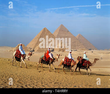 Camellos caminando delante de las pirámides de Giza, en El Cairo, Egipto