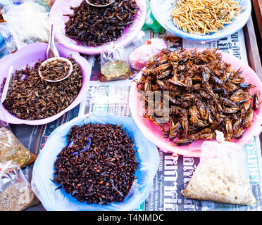 Insectos fritos y grillos como delicadeza en un mercado en el norte de Tailandia Foto de stock