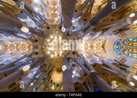 El techo del interior de la Sagrada Familia (Iglesia de la Sagrada Familia, la catedral diseñada por Gaudí en Barcelona, España Foto de stock