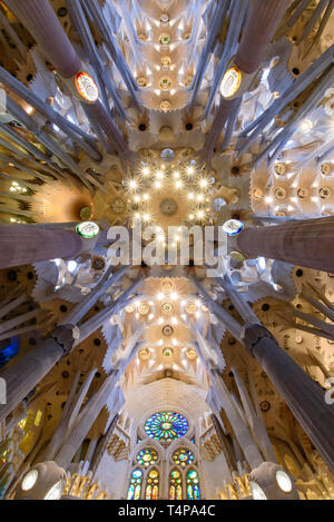 El techo del interior de la Sagrada Familia (Iglesia de la Sagrada Familia, la catedral diseñada por Gaudí en Barcelona, España Foto de stock