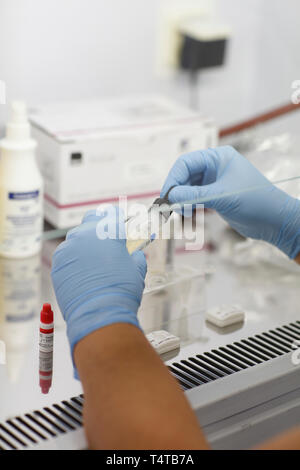 Detalle del cuadro Flowbox laminar (examen), la infección en el hospital, laboratorio acreditado, República Checa