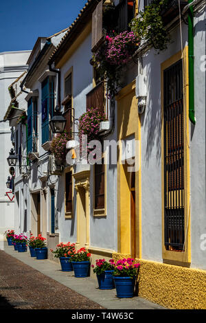 Casas pintadas de blanco y coloridas flores durante el 'Festival de los Patios", Córdoba, España Foto de stock