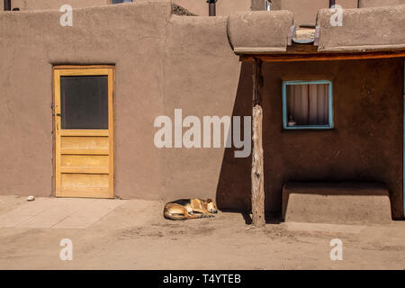 Edificio de adobe de barro de pueblo en el suroeste americano con la nueva puerta de madera y perro dormido fuera - sombras dramáticas y ventana turquesa Foto de stock