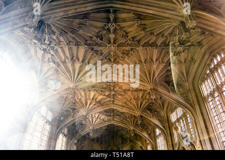 Techo abovedado y windows en un interior medieval de la Escuela de Teología en Oxford, Reino Unido Foto de stock