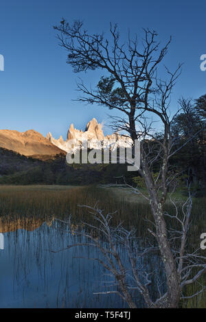 El macizo Fitz Roy reflejado en la laguna Capri, Los Glaciares, NP, Argentina Foto de stock