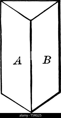 Un Prisma Triangular Es Un Prisma De Tres Caras Es Un Poliedro De Base Triangular Y En Los 3 Lados Que Se Unen Los Lados Correspondientes Vintage Line Draw Imagen Vector De