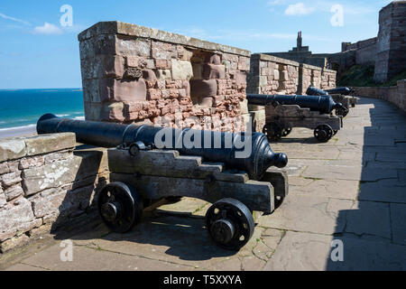 Los cánones en batería Terraza en Bamburgh Castle, Northumberland, Inglaterra, Reino Unido. Foto de stock