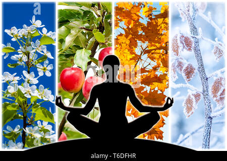 Yoga figura silueta femenina contra el collage de cuatro imágenes que representan cada Estación: primavera, verano, otoño e invierno. Foto de stock