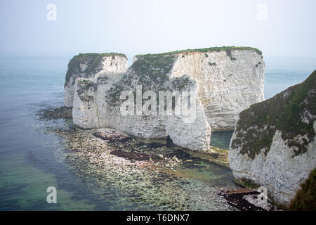 Old Harry Rocks cerca de Swanage, Dorset en marea baja en un día brumoso Foto de stock