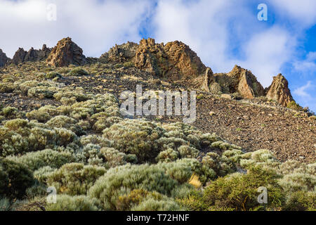 Vista del paisaje en el Parque Nacional del Teide. Tenerife, Islas Canarias, España