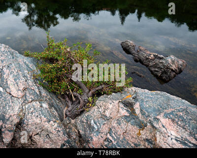 Parque San Antonio en Cali Colombia Fotografía de stock - Alamy