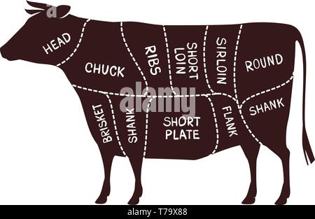 Esquema de corte de vaca. Butcher Shop, carne ilustración vectorial Ilustración del Vector