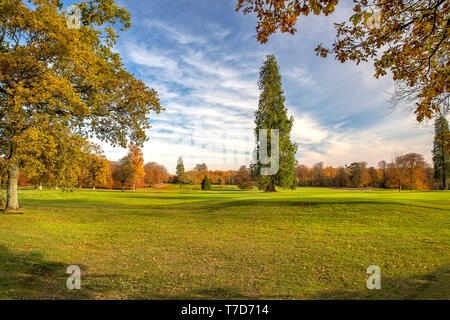 Rushmore Park Golf Club en otoño. Wiltshire, Reino Unido.