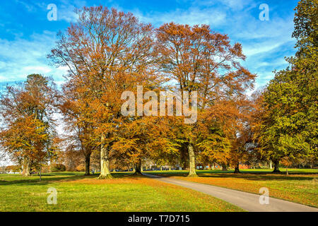 Rushmore Park Golf Club en otoño. Wiltshire, Reino Unido.