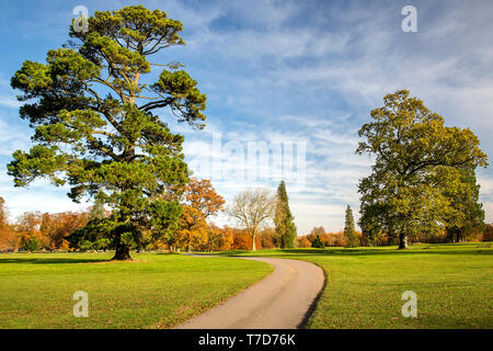 Rushmore Park Golf Club en otoño. Wiltshire, Reino Unido.