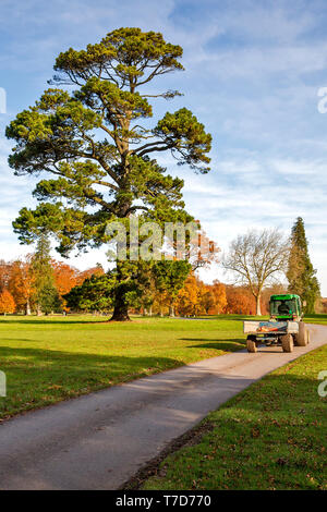 Rushmore Park Golf Club en otoño. Wiltshire, Reino Unido.