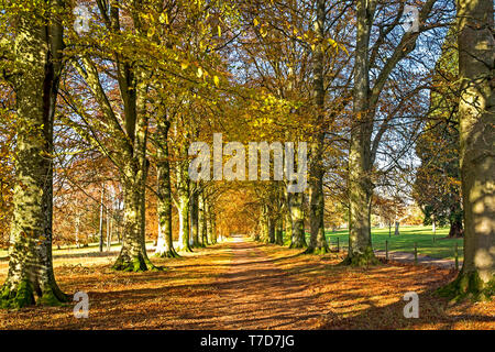 Rushmore Park Golf Club en otoño. Wiltshire, Reino Unido.