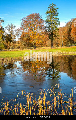 Rushmore Park Golf Club en otoño. Wiltshire, Reino Unido.