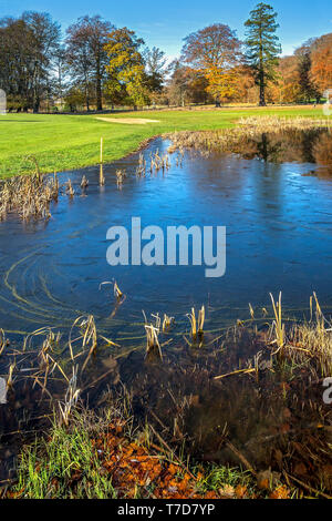 Rushmore Park Golf Club en otoño. Wiltshire, Reino Unido.