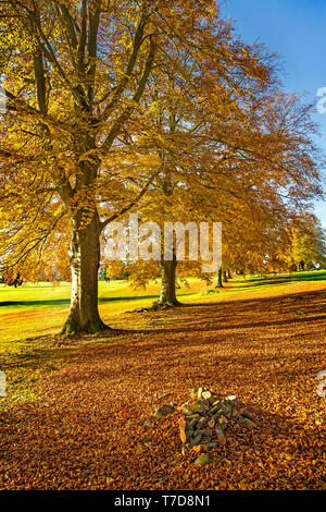 Rushmore Park Golf Club en otoño. Wiltshire, Reino Unido.