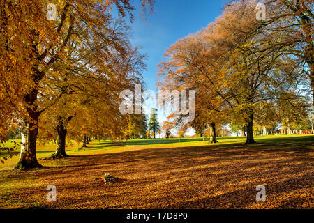 Rushmore Park Golf Club en otoño. Wiltshire, Reino Unido.