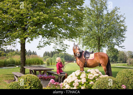 Deporte caballo ibérico. Andrea Jaenisch sentado en el jardín del espárrago Weng, sujetando el caballo de la bahía en el rein. Amerang, Baviera, Alemania Foto de stock
