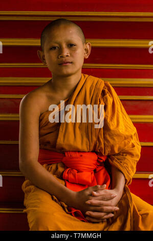 Retrato de los monjes novicios, Luang Prabang, Laos