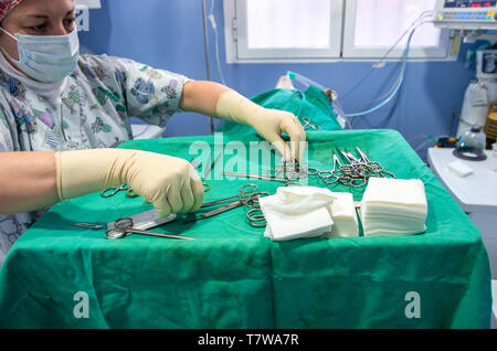 Veterinario colocando y preparando material estéril para cirugía de un perro Foto de stock