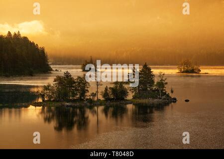 Mañana atmósfera, pequeñas islas en el lago Eibsee, niebla matutina brilla bajo la luz del sol, cerca de Grainau, Alta Baviera, Baviera, Alemania Foto de stock