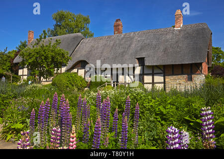 La cabaña de Anne Hathaway, Shottery, Stratford-upon-Avon, Warwickshire, Inglaterra, Reino Unido, Europa Foto de stock