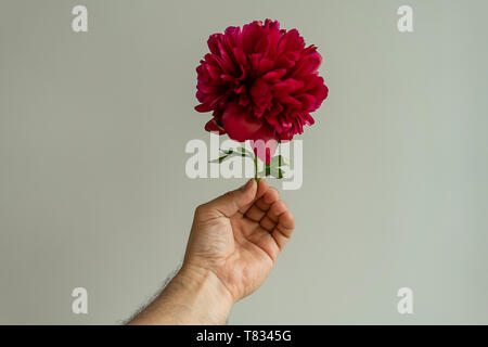 Garota Com Buquê De Peonias. Buquê De Peões. Entrega De Flores No Local De  Trabalho. Menina De Primavera Com Flores. Buquê Como Pr Imagem de Stock -  Imagem de feminilidade, senhora: 172671793