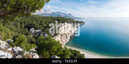 Bello escenario de pinos y la calma azul del mar en la famosa playa de Nugal en Makarska Foto de stock