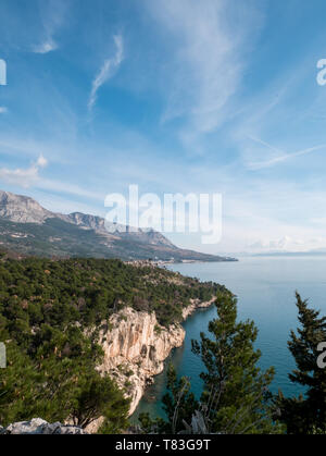 Un bosque de pinos y el mar azul tranquilo paisaje en un día soleado de verano en Croacia Foto de stock