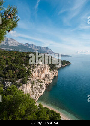 Un bosque de pinos a lo largo de Hidden Beach y el tranquilo mar azul en Croacia Foto de stock