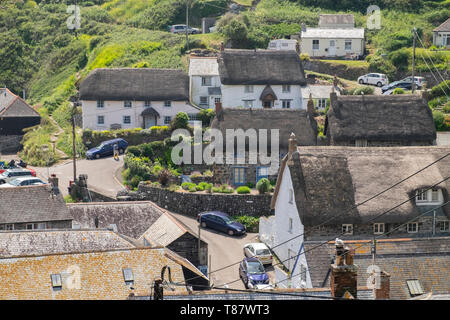 Casas encaladas de techos de paja y la callejuela en el pequeño y pintoresco pueblo pesquero de Cadgwith, Cornwall, Inglaterra Foto de stock