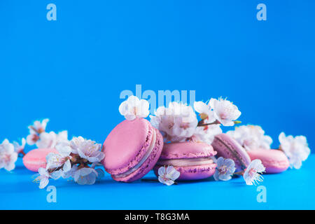 Macaron francés cookies encabezado con flor de cerezo flores sobre un fondo azul cielo, con espacio de copia. Pop de color