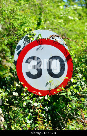 30 milla por hora límite de velocidad firmar en un seto, Boughton Monchelsea village, Kent, Inglaterra. Foto de stock