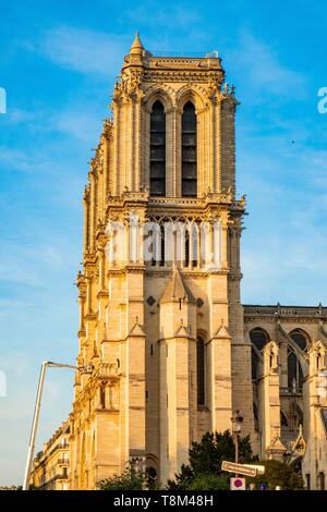 Francia, Paris, área listados como Patrimonio Mundial por la UNESCO, la Ile de la Cité, La Catedral de Notre Dame después del incendio del 15 de abril, 2019 Foto de stock