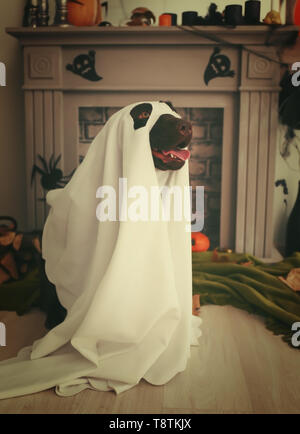 fantasma para halloween costumes