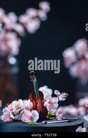 Pequeño violín con Pink Cherry Blossom sobre un fondo oscuro con espacio de copia. Concepto de música de primavera.