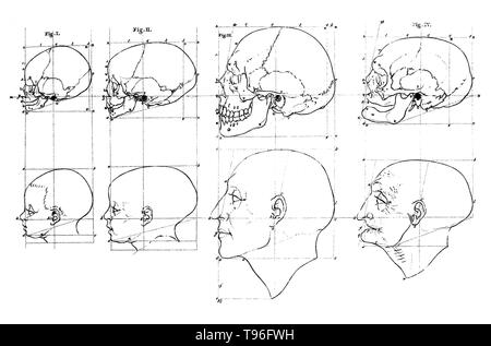 Petrus Camper (11 de mayo de 1722 - 7 de abril de 1789) fue un médico holandés, anatomista, fisiólogo, partera, zoólogo, antropólogo, paleontólogo y naturalista. En el primer lienzo de la cabeza de un niño, la cabeza de un hombre adulto, y la cabeza de un hombre viejo se muestra con sus cráneos por encima de ellos, todos en el perfil. Ángulos faciales se refiere al contenido de dos conferencias por Petrus Camper el 1 y el 8 de agosto de 1770 a la Academia de dibujo de Amsterdam. Foto de stock
