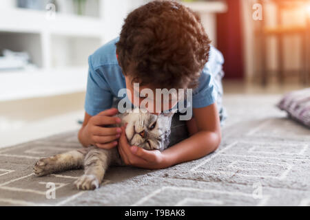 Niño feliz jugando con British Shorthair gris sobre una alfombra en casa