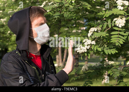 Hombre en una máscara de médico vistiendo una capucha negra muestra gesto para detener un árbol de flores. Concepto de salud Foto de stock